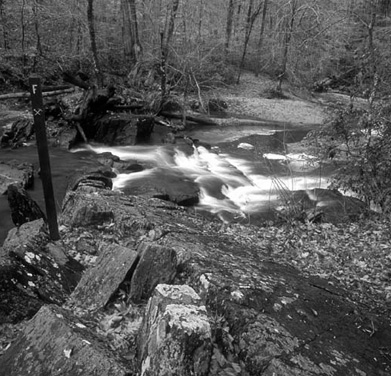 Prince William Forest Park Excursion Transfer Service Near Me